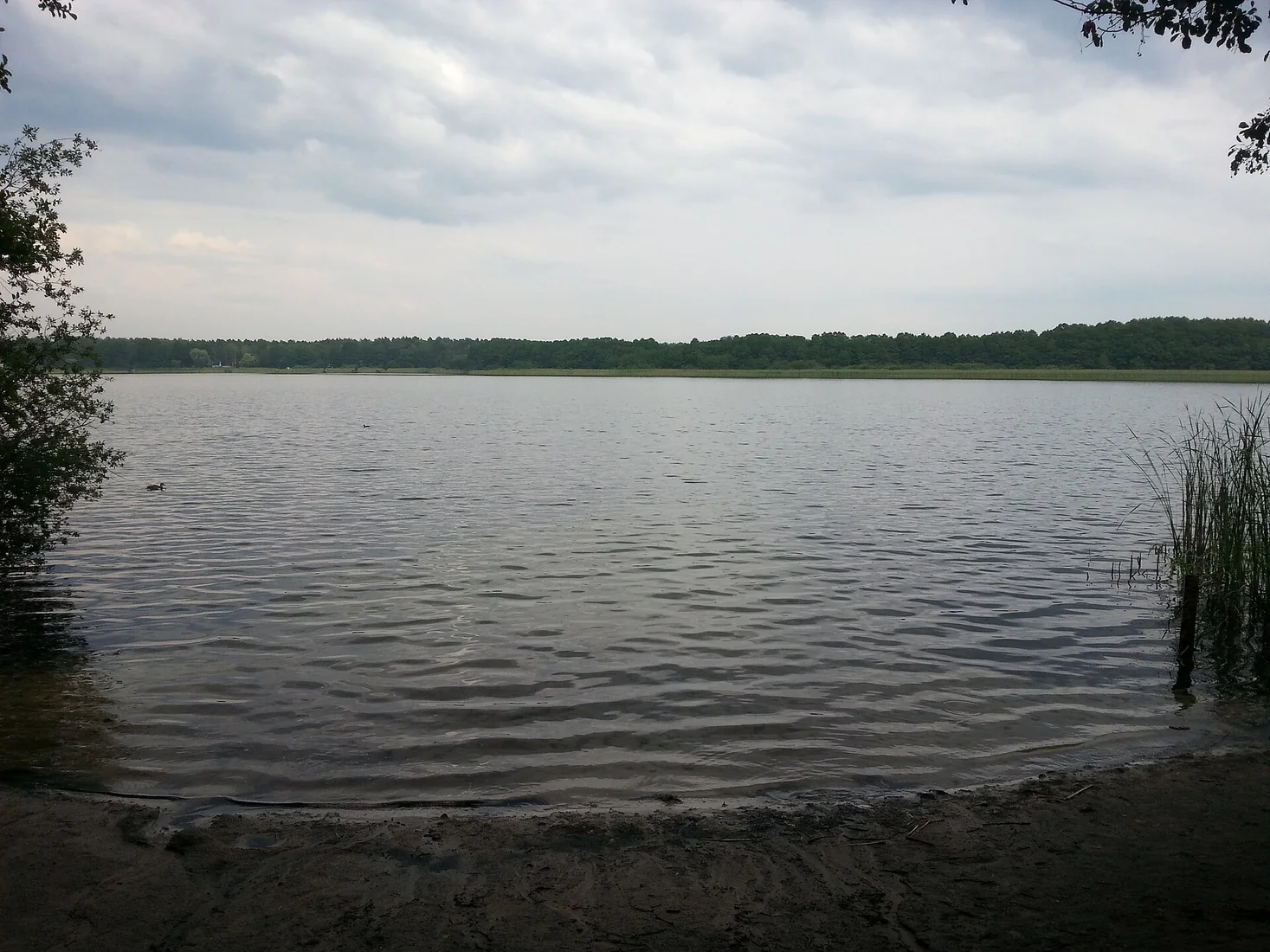Der Ziestsee in Bindow, Gemeinde Heidesee