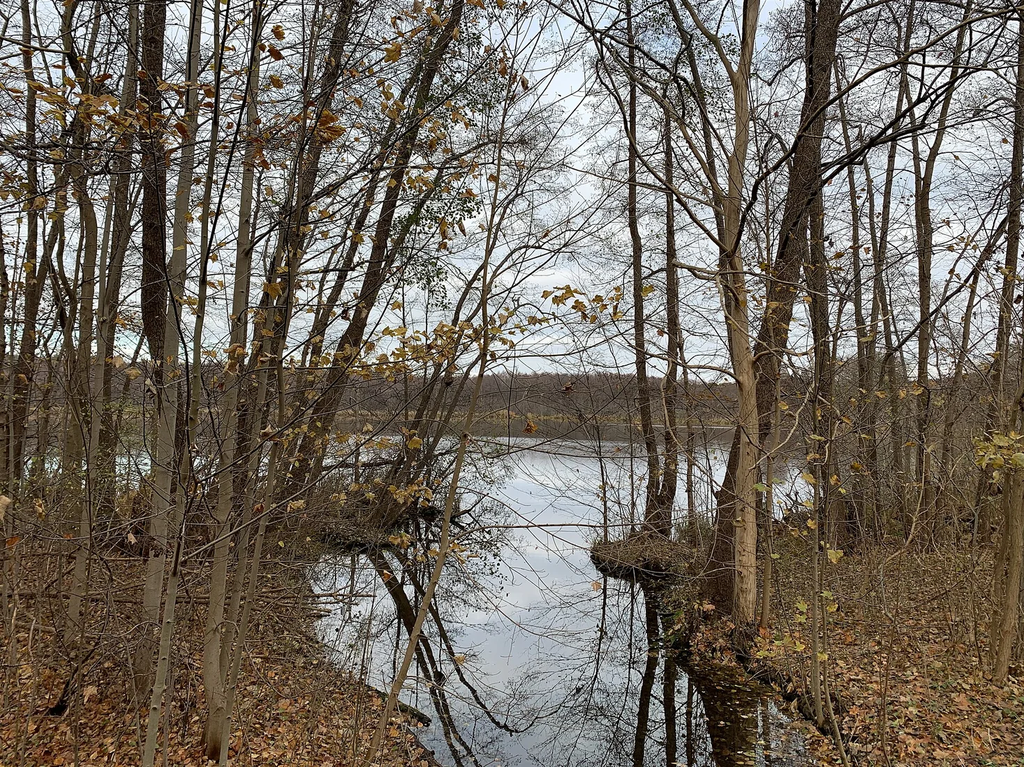 Blick über den Küchensee bei Blossin, Gemeinde Heidesee