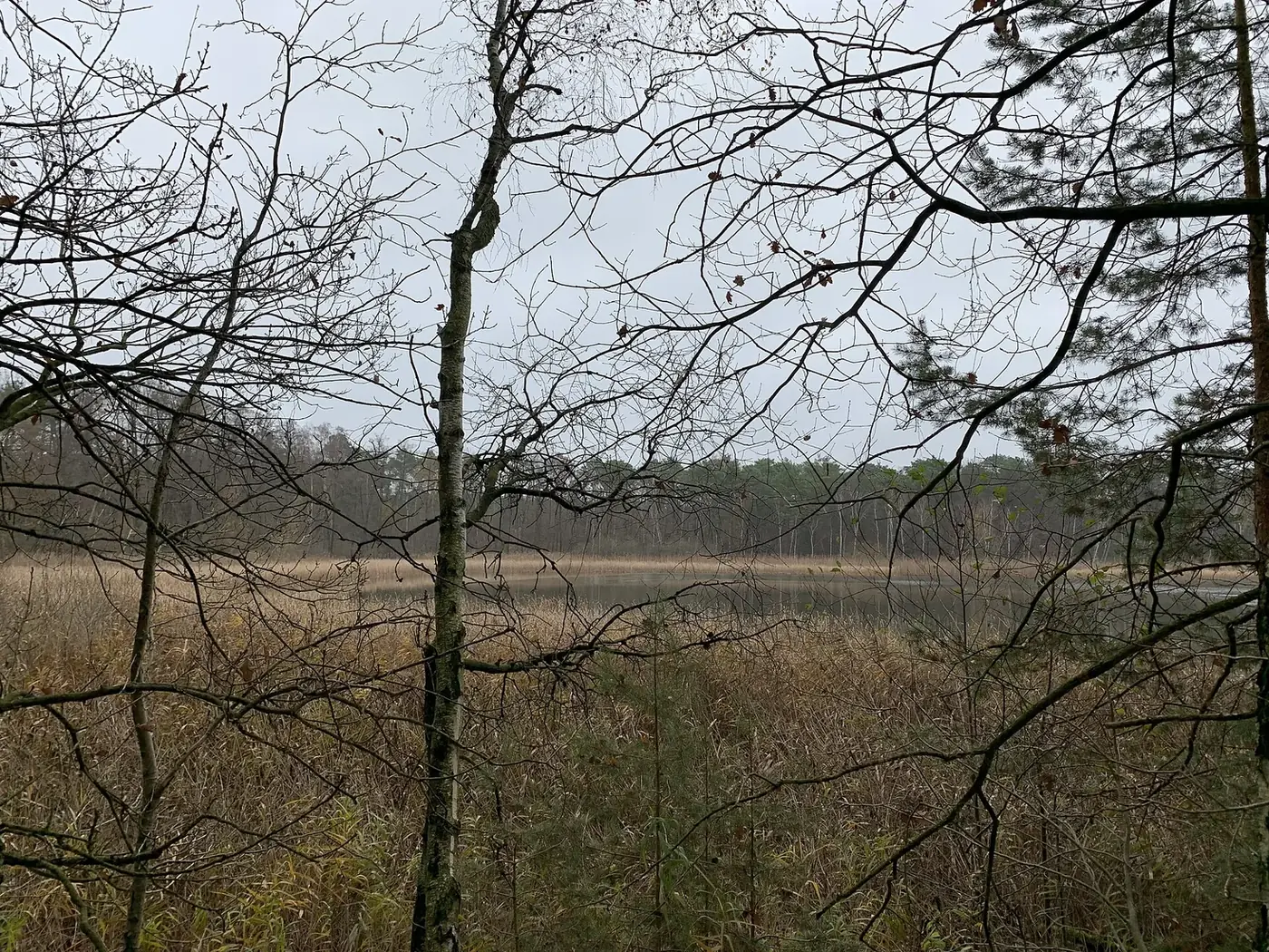 Frauensee im Ortsteil Gräbendorf